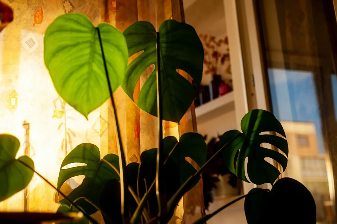 Best Air Purifier for Mold: Buyer Guide - best air purifier for mold