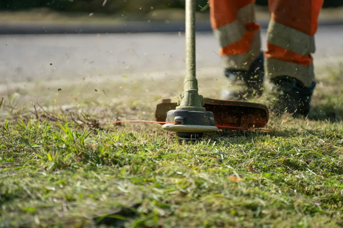 Electric Reel Lawn Mower Buying Guide - electric reel lawn mower