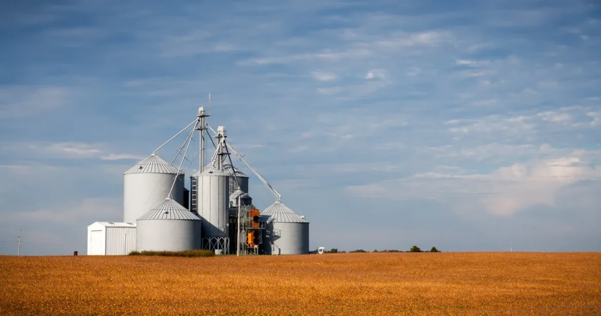 Feed Storage Bins: A Practical Buying Guide - feed storage bins