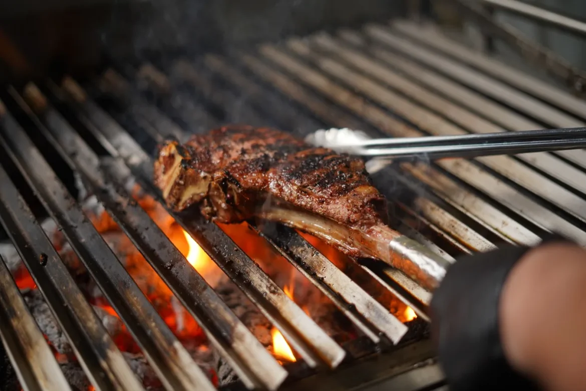 Hestan BBQ Grills: Buyer’s Guide - hestan bbq grills