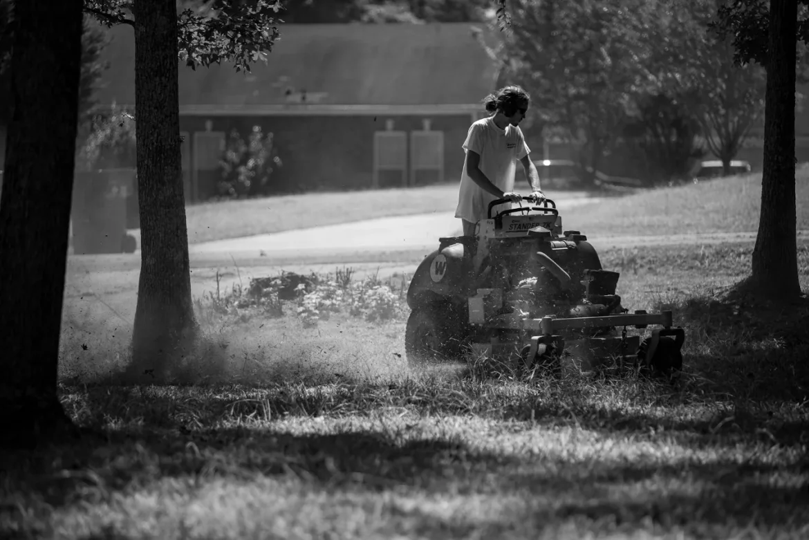 Lawn Mower Air Filters Guide - lawn mower air filters