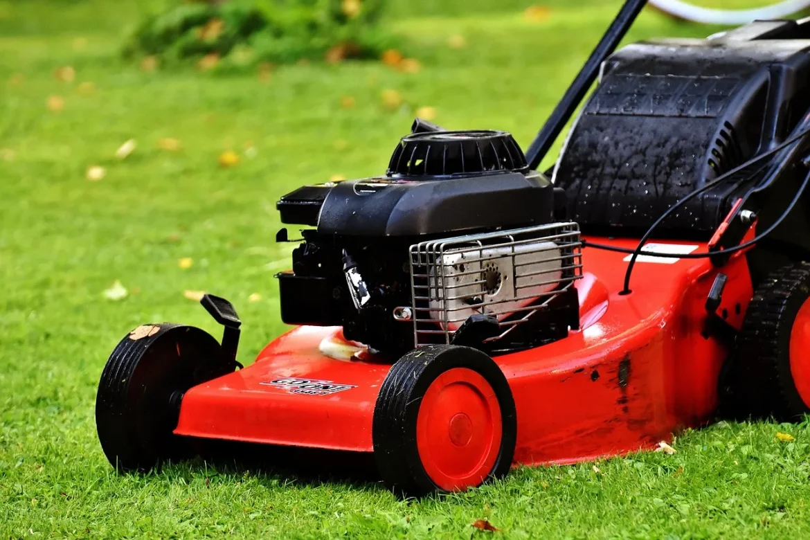Masport Lawn Mower Buying Guide - masport lawn mower
