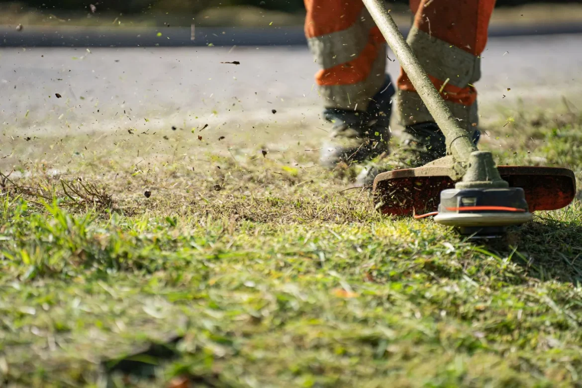 Best Power Reel Lawn Mower Buying Guide - power reel lawn mower