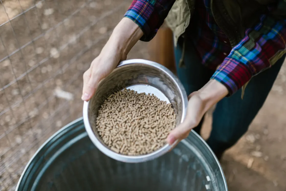 Wood Pellet Storage Containers: Buyer Guide - wood pellet storage containers